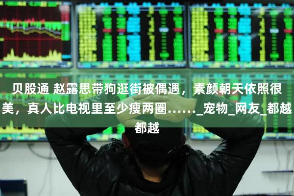 贝股通 赵露思带狗逛街被偶遇，素颜朝天依照很美，真人比电视里至少瘦两圈……_宠物_网友_都越