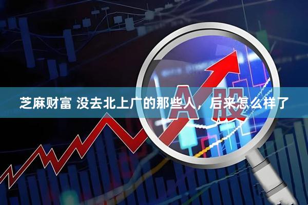 芝麻财富 没去北上广的那些人，后来怎么样了