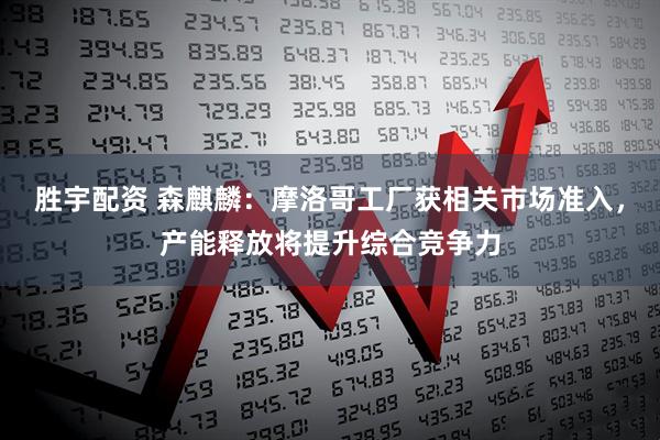 胜宇配资 森麒麟：摩洛哥工厂获相关市场准入，产能释放将提升综合竞争力