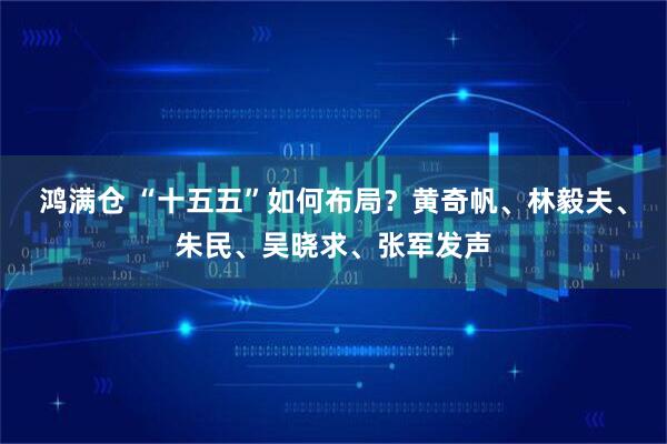 鸿满仓 “十五五”如何布局?黄奇帆、林毅夫、朱民、吴晓求、张军发声