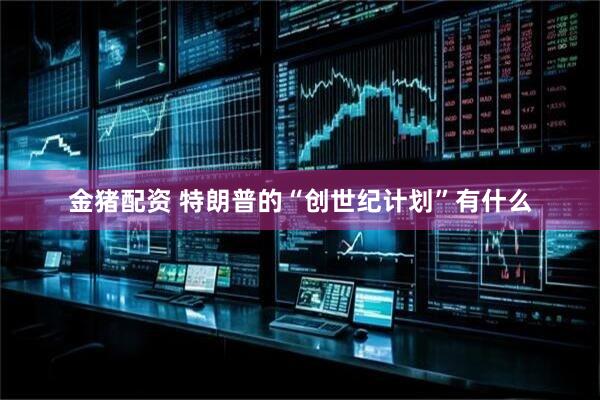 金猪配资 特朗普的“创世纪计划”有什么